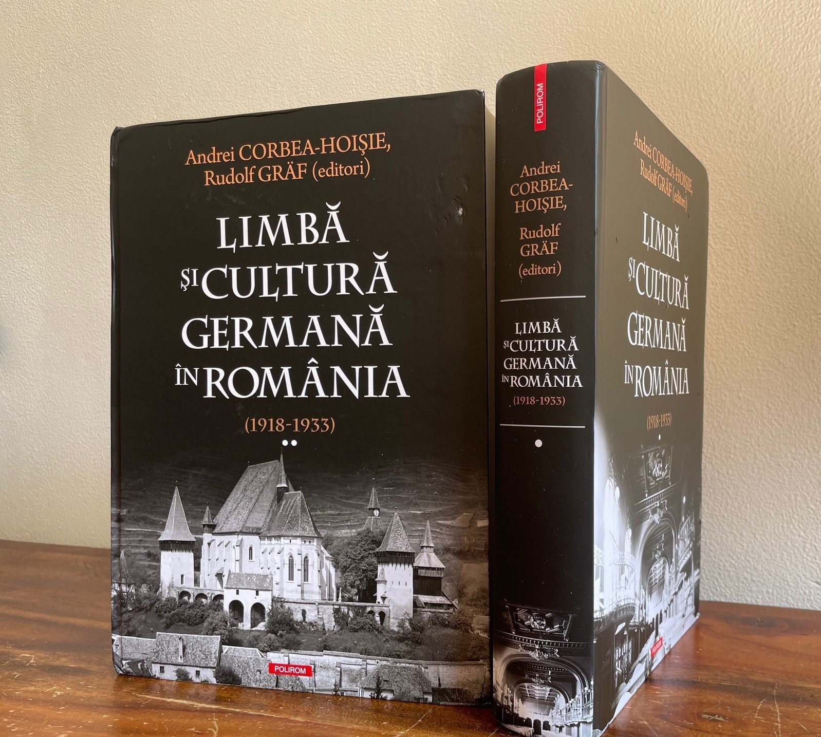Buchdeckel einer gemeinsame Publikation Sibiu-IdGL über deutschsprachige Literatur in Rumänien