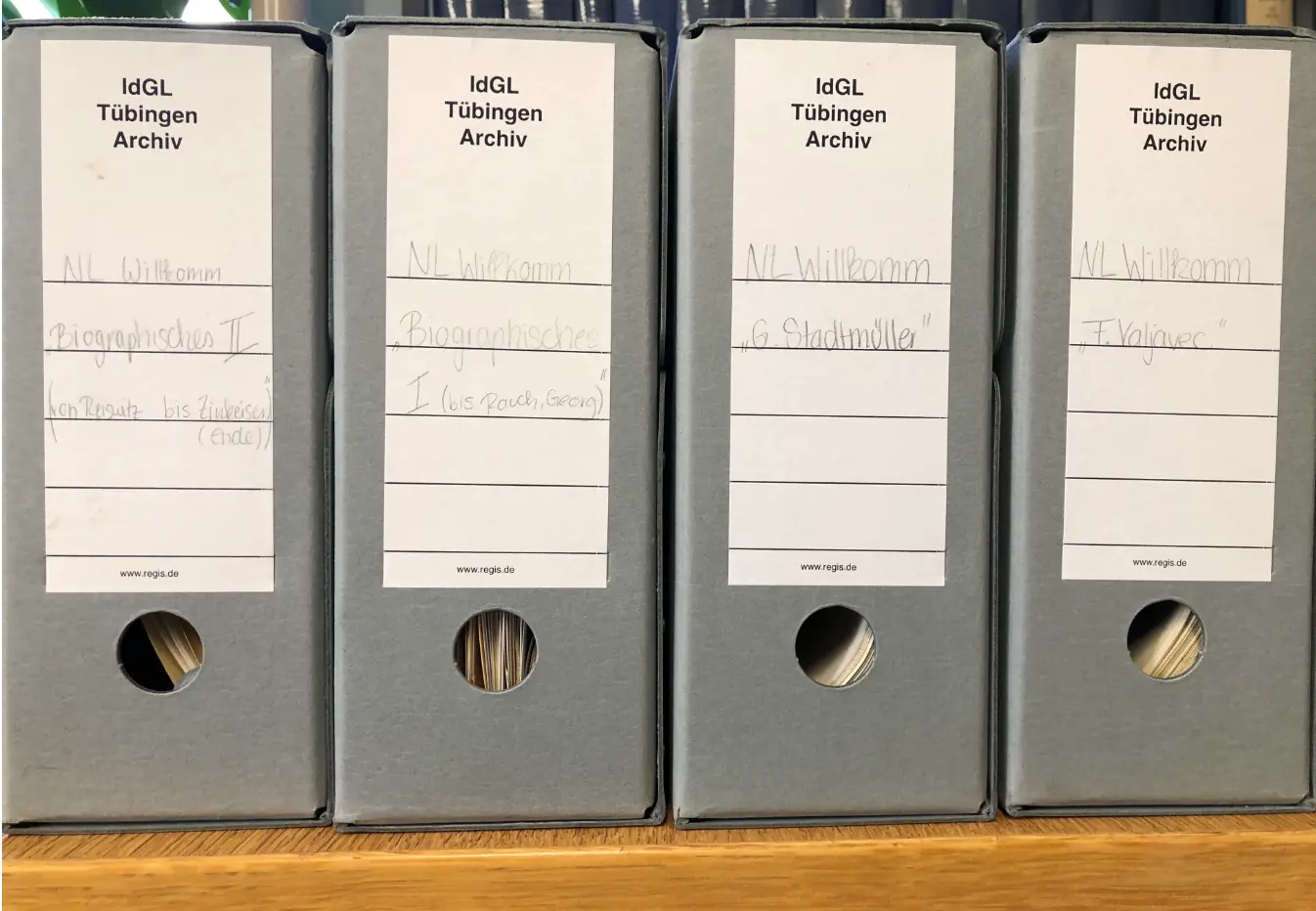 Das Bild zeigt 4 graue Archivordner mit Unterlagen aus dem Vorlass von Dorothea Willkomm