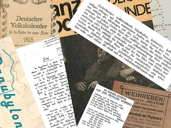 Das Bild zeigt eine Collage aus Zeitungsausschnitten.