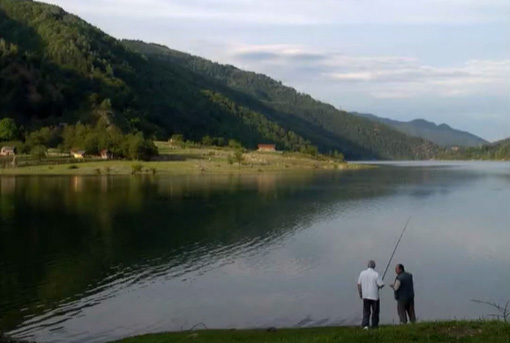 Foto zeigt den Fluss Donau